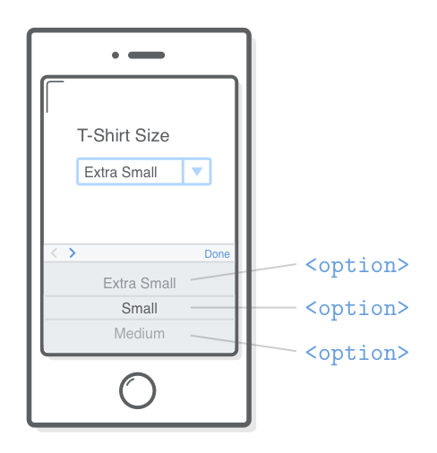 Screenshot showing three <option> elements in the scrolling <select> menu at the bottom of an iPhone screen